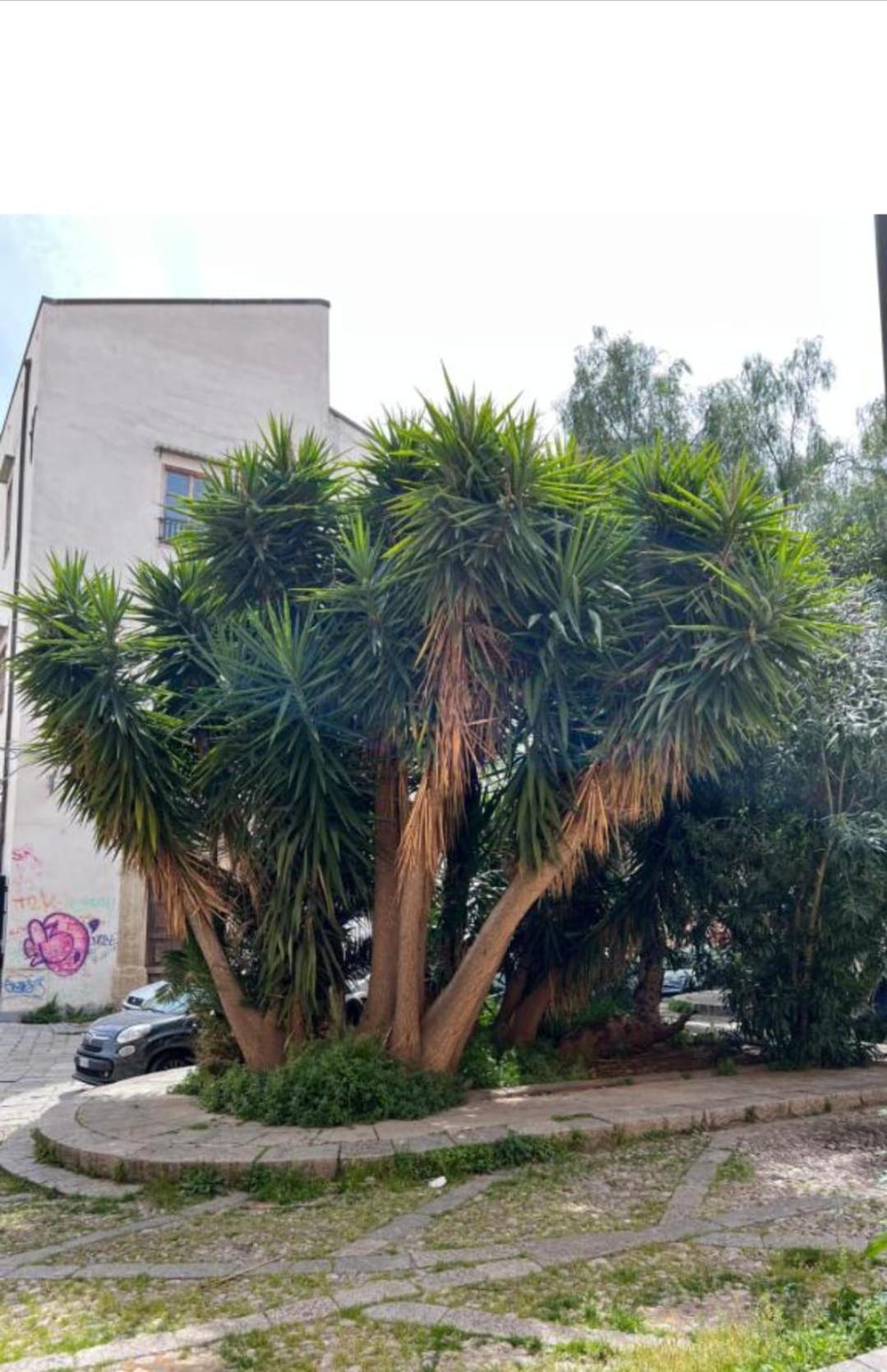 Sicily Guest House 2 Palermo Exterior foto